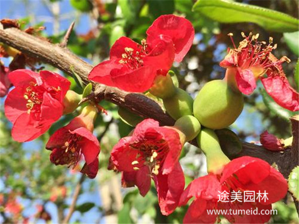 http://www.ygwhn.cn/ch/30.html